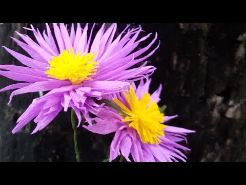 Simple Paper flower making| Easy flower making|DIY flower| papel del arte