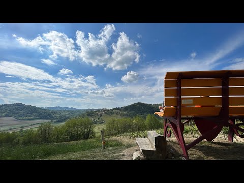 WILD PIEMONTE- Alla scoperta dell'astigiano e delle sue panchine giganti!
