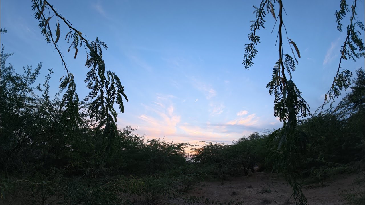 A Tranquil View of the Horizon at Sunset 4K