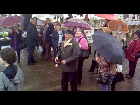 cantantes en mallorca