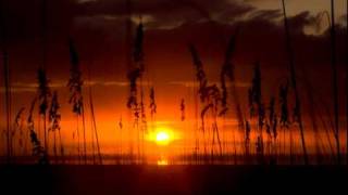 Stephan Micus - Borkenkind