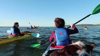 preview picture of video 'McKinnon Kayak Tours Promo'