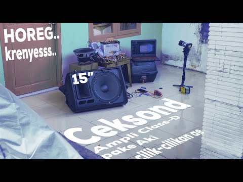 Test ampli class-d IRS20957s Outdoor 15" Woofer + Twiter