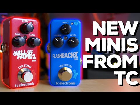CUTE BUT MIGHTY! TC Electronic Hall of Fame 2 Mini & Flashback 2 Mini (Demo)