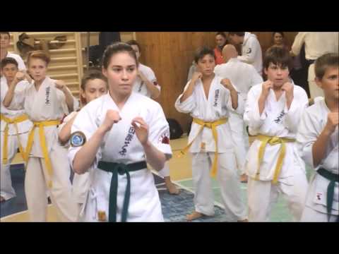 AIKO grading Moscow 14/16 october 2016