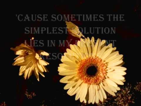 No More - Jill Zimmerman