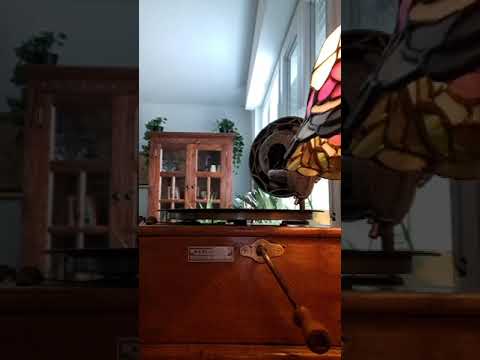 Wenn der weiße Flieder wieder blüht - Paul Godwin Orchester