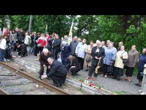 kitazzz-14 vieskelis