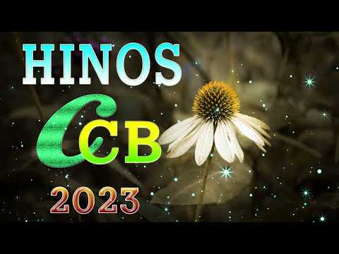 6 Horas de Lindos Hinos CCB Hinário 5 Cantados