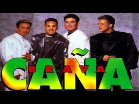 MIX BAILABLE CAÑA BRAVA