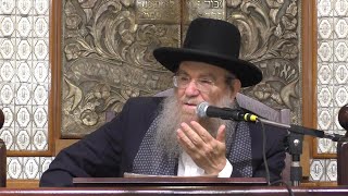 הגאון הגדול הרב יצחק ברדא שליט"א  - פרשת ויגש