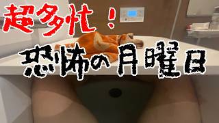 【柔術vlog】夕飯のパスタを4分で食べた月曜日。