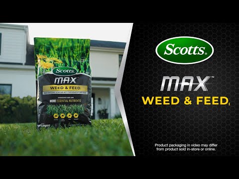 How To Use Scotts® MAX™ Weed & Feed