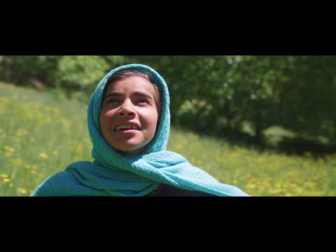 Dreams of the Wild Oaks trailer thumbnail
