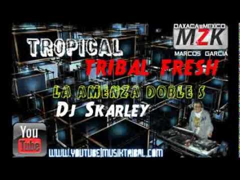 Ibiza Tropical(  Dj Skarley  Tribal Fresh   La Amenaza Doble S    2012