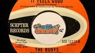 The Buoys - It Feels Good ■ 45 RPM 1971 ■ OffTheCharts365