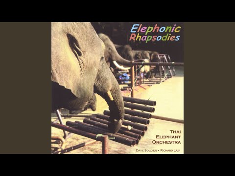 Video thumbnail for Baby Elephant Walk