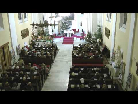 Novoroční koncert 11.1. 2015 - 7. Jan Neubauer - varhany