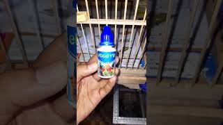 Download lagu Rekomendasi obat burung supaya gacor #kenari mp3