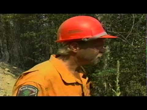 Vancouver Television (VTV)