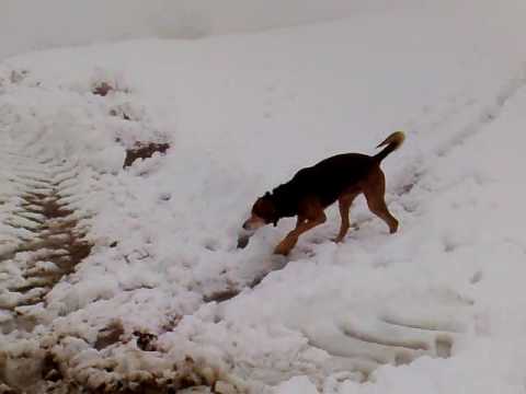 Zeus -Madonna del Vento- Montalto Pavese