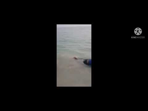 My life journey to the beach