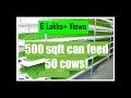 Dairy Farming 02 Open Air Hydroponic Fodder Machine Hindi Sub PlugInCaroo