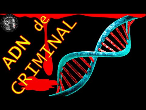 FLOREA RIMARU - CRIMINAL in SERIE si tatăl lui ION RIMARU