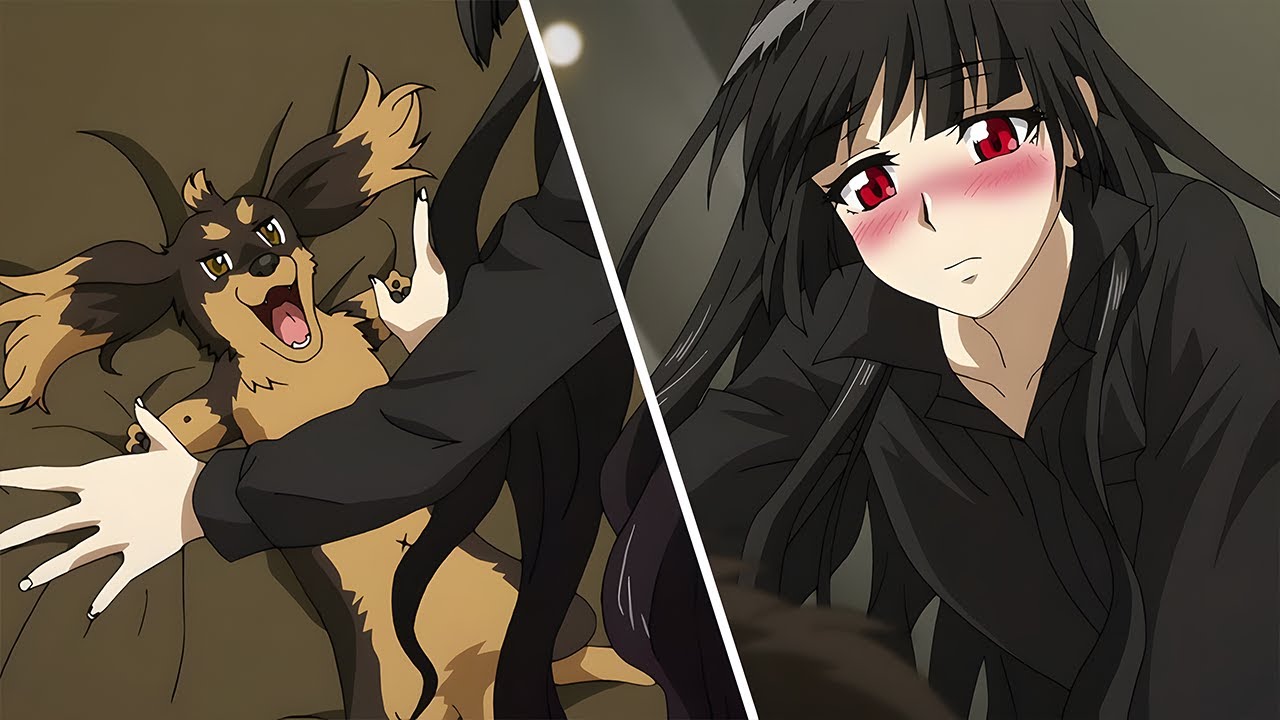 Reincarnated As A Dog And Become The Pet Of Flat Chest Girl! - Anime Recap