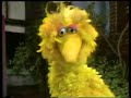 Classic Sesame Street Big Bird Little Bird Package 1970