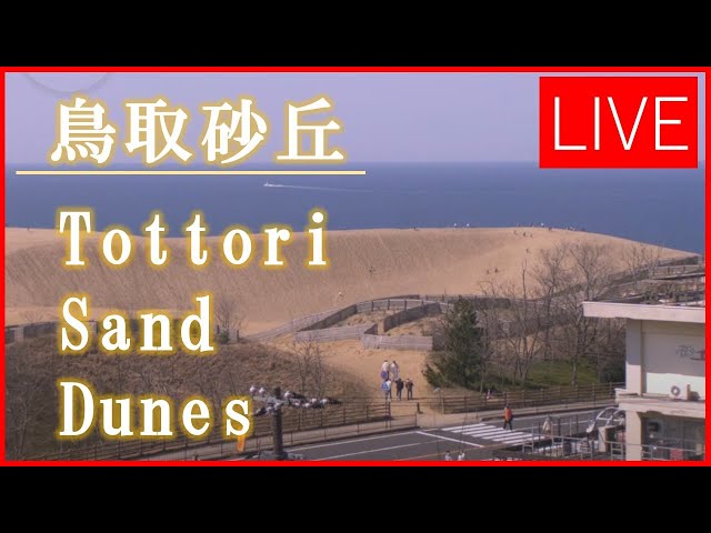 【LIVE】鳥取砂丘ライブカメラ Tottori Sand Dunes cctv 監視器 即時交通資訊
