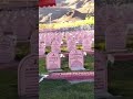 Vijay Diwas Status Kargil Vijay Diwas Whatsapp Status Operation Vijay 26th Ju