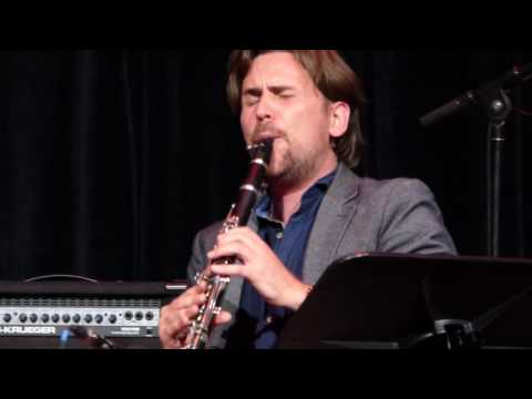 Pepe Auer, Temmel & Bakanic - Live at Brucknerhaus, Linz, Austria, 2016-10-08 - 05.  vatra