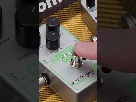 Mint Electro-Harmonix Slap-back Echo image 6