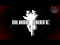 Black Knife W Lyrics DELTARUNE Chapter 3