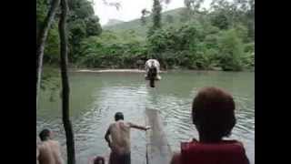 preview picture of video 'Uma e meia no trampolim do Rio Maquiné'