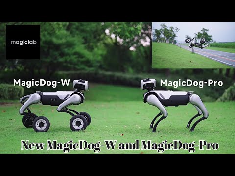 MagicDog-W Review Video 2