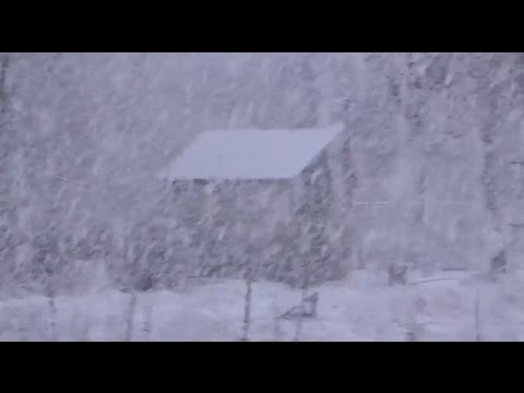 Intenzív havazás 2016. 02. 10.