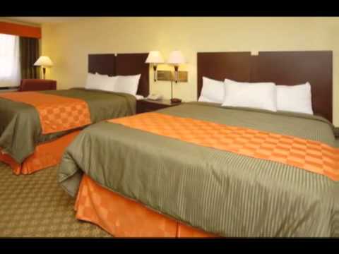 BEST WESTERN N.E. Mall Inn & Suites
