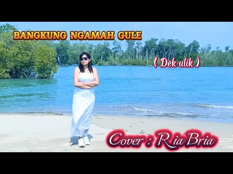 Ria Bria||Cover : BANGKUNG NGAMAH GULE ( De ulik )