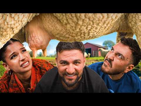 CINE MULGE OAIA MAI BINE? (Fugiti de Acasa S2: Ep. 8)