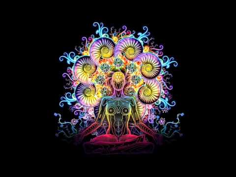 Cristas Icaros - Ayahuasca song 6