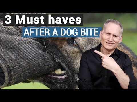 Dog bite lawyer - 3 things to know about a dog bite case