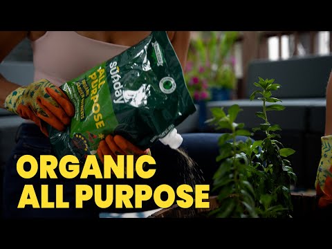 YouTube video placeholder