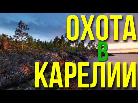 Охота на гуся 2019 год. Карелия.