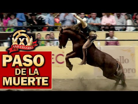 2022 THV Millionaire Championship - Chilling Steps of Death day 4 September final