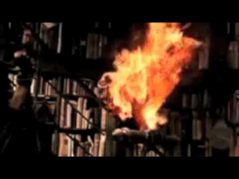 Phoenix - reborn from ashes