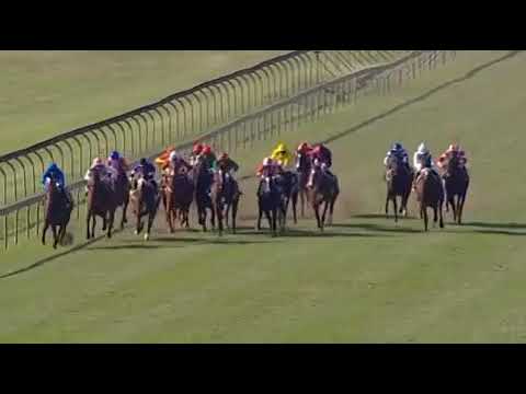 Miss Florida, 2019 Allan Robertson Championship Gr1