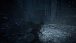 Rise of the Tomb Raider Cold Darkness