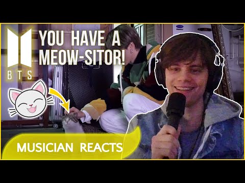 MUSICIAN REACTS TO BTS "You Have A Meow-Sitor!" FIRST TIME (REACTION VIDEO)